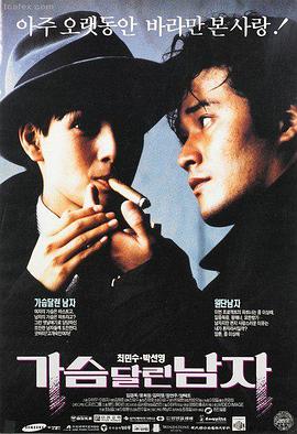 铁拳少年团封面